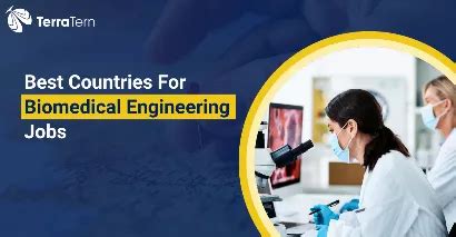 Biomedical Engineering Jobs in Singapore: A Comprehensive Guide to a Thriving Field