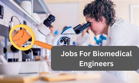 Biomedical Engineering Jobs in Singapore: A Thriving Hub for Innovation and Healthcare Advancement