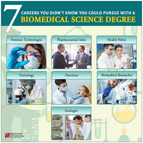 Biomedical Science: A Career Outlook and Guide to Top Jobs