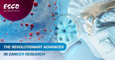 Biomedical Science Poly: A Revolutionary Advance in Medical Research