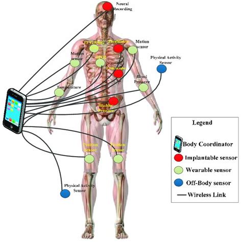 Biomedical Sensors: