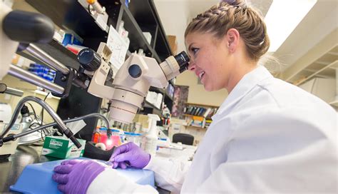 Biomedical and Health Sciences: