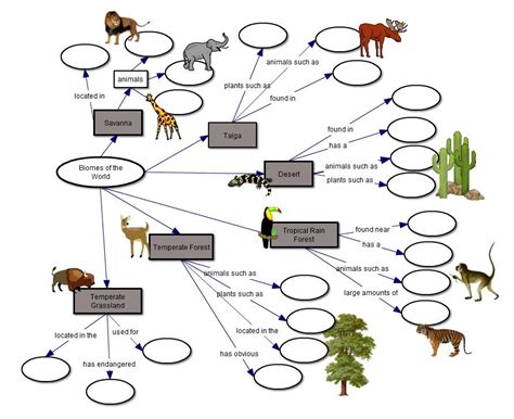 Biomes Concept Map Answers Key Reader