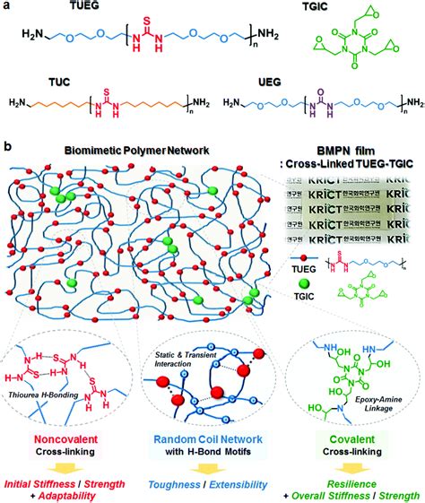 Biomimetic Polymers PDF