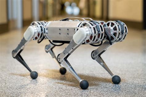 Biomimetic Robotics: