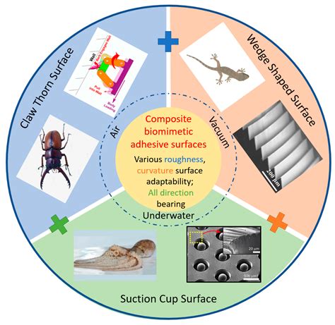 Biomimetics: