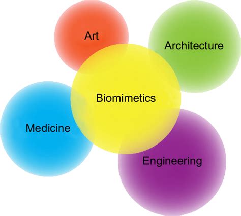 Biomimetics and Material Science: