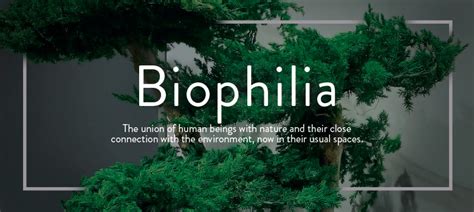 Biophilia PDF