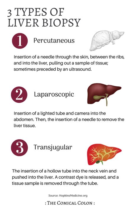 Biopsy Interpretation of the Liver Doc