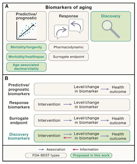 Biorcksen: A Comprehensive Guide to the Biomarkers of Aging