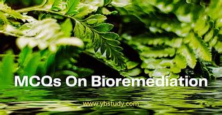 Bioremediation Mcq With Answers Epub