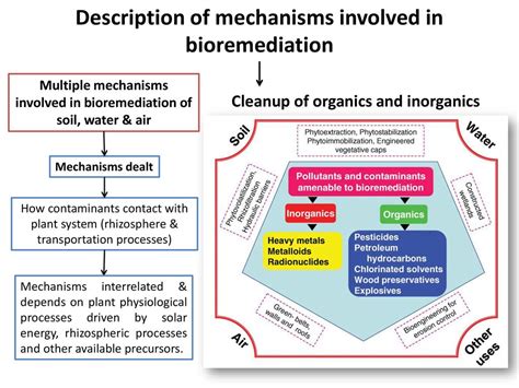 Bioremediation of Inorganics Kindle Editon