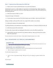 Biotechnology Virtual Lab Answers PDF