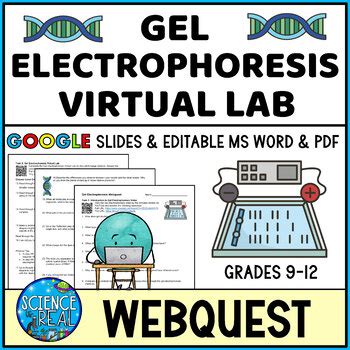 Biotechnology Webquest Gel Electrophoresis Answer Key Reader