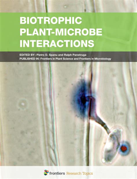 Biotechnology of Plant-Microbe Interactions Epub