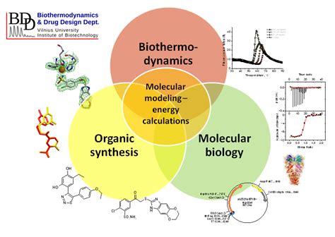 Biothermodynamics PDF