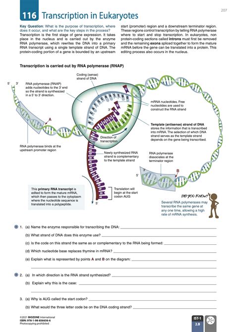 Biozone Ap Biology Answers Epub