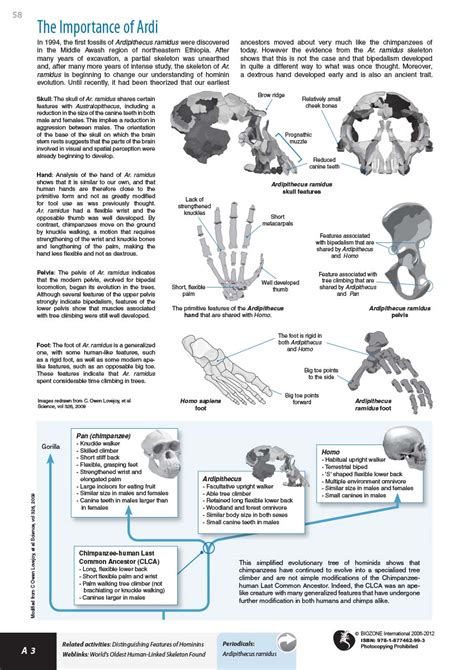 Biozone Evolution Of Humans Answer Key Epub