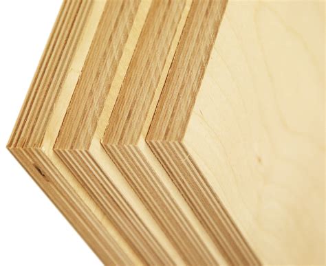 Birch Ply: The Ultimate Guide to This Durable and Versatile Wood