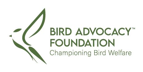 Bird Advocacy: A Growing Movement