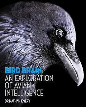 Bird Brain Exploration Avian Intelligence Epub