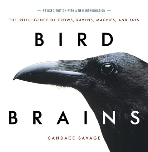 Bird Brains: The Intelligence of Crows Doc