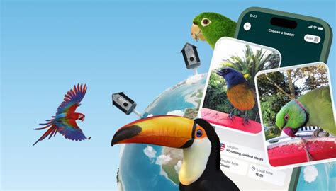 Bird Buddy: Unleashing the Power of Bird Socialization in 2025