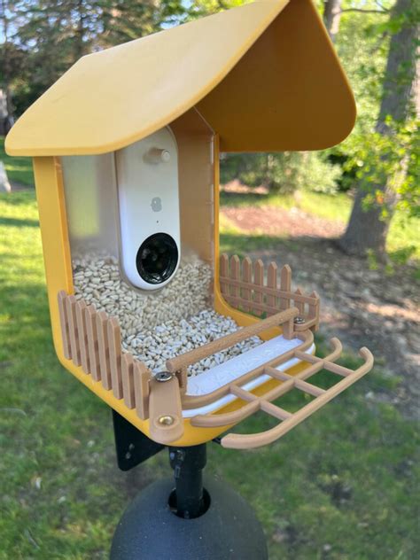 Bird Buddy 2025: The Ultimate Outdoor Bird Feeder VS Nature's Masterpiece