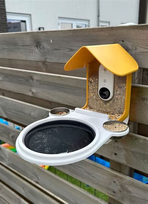 Bird Buddy 5000: The Ultimate Indoor Bird Companion for 2025