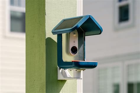 Bird Buddy Camera Review 2025: Live Streaming, AI Recognition, and More