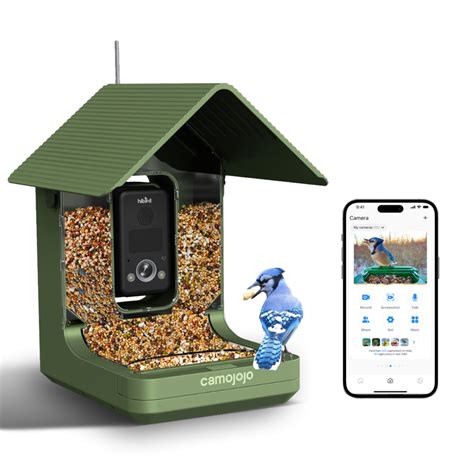 Bird Buddy Subscription Services: Elevate Your Birdwatching Experience in 2025