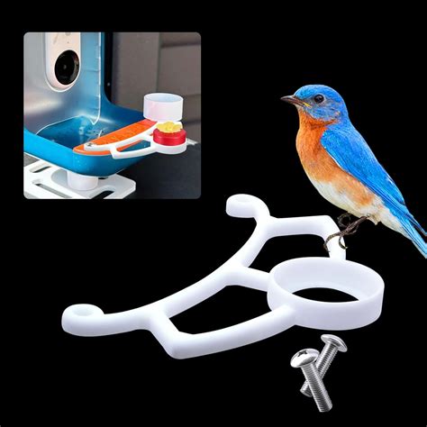 Bird Buddy bird accessories and toys