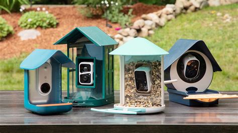 Bird Buddy for Small Birds VS 2025: The Ultimate Guide to Smart Bird Feeders