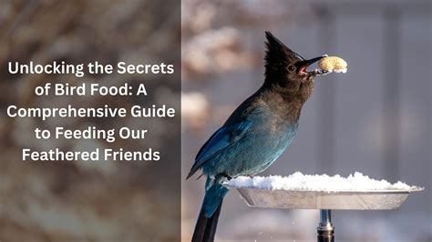 Bird Food and Nutrition Experts: The Ultimate Guide to Feeding Your Feathered Friends in 2025