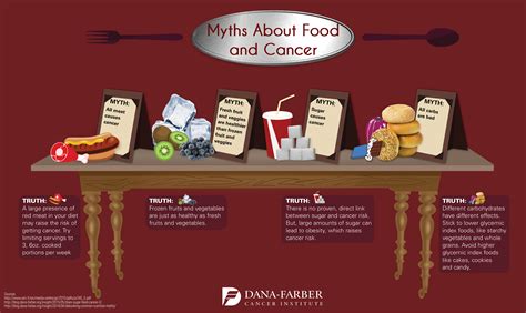 Bird Food and Nutrition Myth VS Fact: Debunking Common Misconceptions for 2025