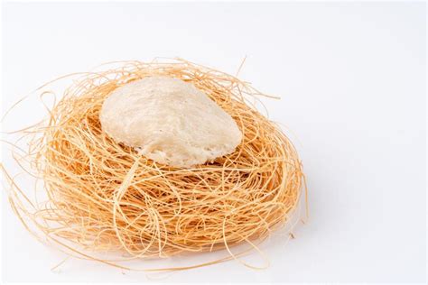 Bird Nest Benefits: 10,000+ Reasons Why You Should Love Them