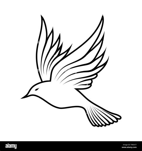 Bird Outline Drawing