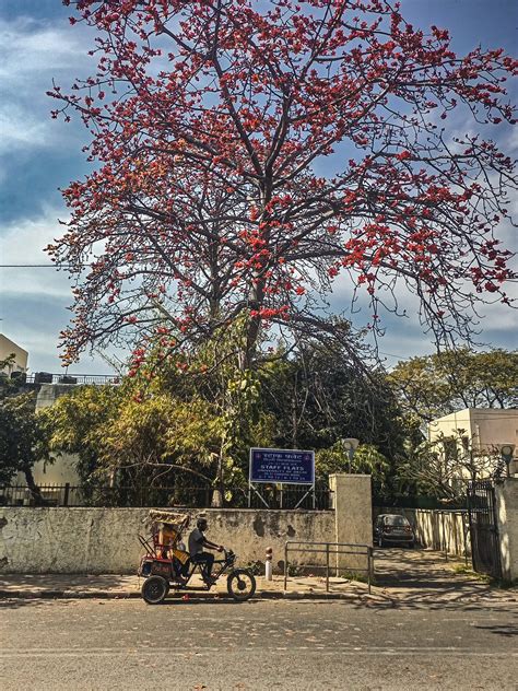 Bird Parks VS Outdoor Spaces: A Green Dilemma for Urbanites in 2025