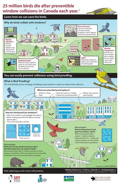 Bird Safety and Security Products: 2025 VS 2023