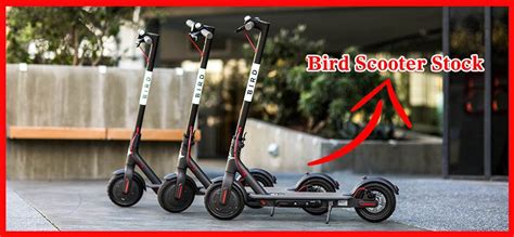 Bird Scooter Stock: A Soaring Investment Opportunity