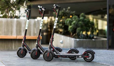 Bird Scooter Stock: The Sky's the Limit