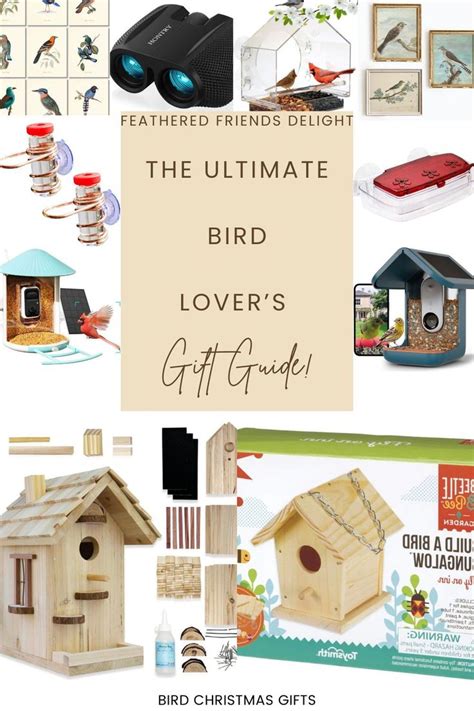 Bird Seed Home Depot: Your Ultimate Guide to Feathered Friends' Delights