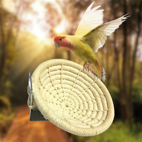 Bird Toys for Breeding and Nesting: 7 Key Types to Enhance Avicultural Success in 2025