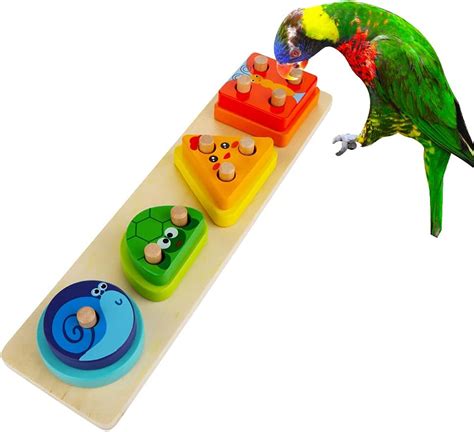 Bird puzzle toys and interactive play