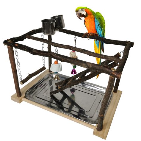 Bird toy for exercise and activity