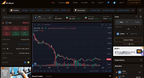 Birdeye Solana: The 1,000X Gem in the Cryptosphere