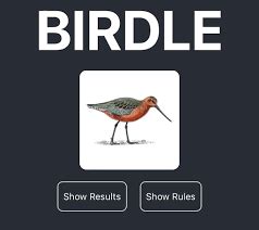 Birdle: A Comprehensive Guide to the Thrilling Bird-Themed Word Game