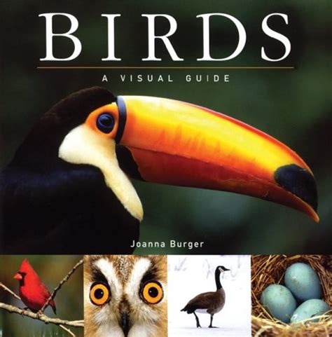 Birds: A Visual Guide (Visual Guides) Reader