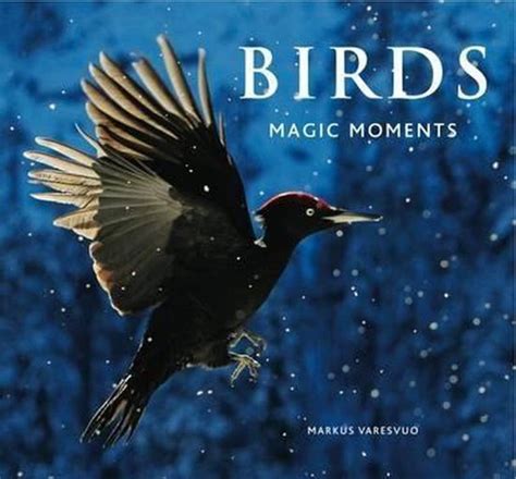 Birds: Magic Moments PDF