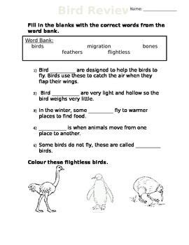 Birds And Mammals Key Terms Answers Reader